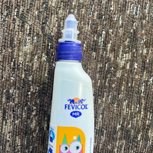 Fevicol Mr Glue - 20 g