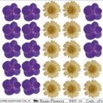 "Jogi Art Resin Flower Sticker Sheet - Waterproof, Fade-Resistant, Ideal for Resin Art, Jewelry Making, Scrapbooking & DIY Craft Projects"