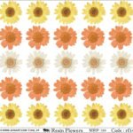 "Jogi Art Resin Flower Sticker Sheet - Waterproof, Fade-Resistant, Ideal for Resin Art, Jewelry Making, Scrapbooking & DIY Craft Projects"