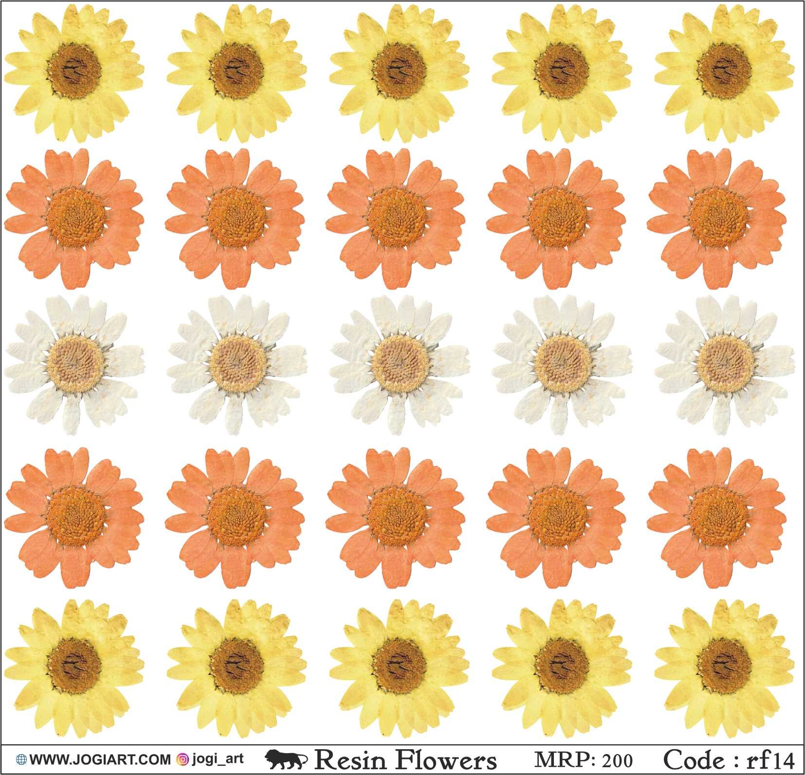 "Jogi Art Resin Flower Sticker Sheet - Waterproof, Fade-Resistant, Ideal for Resin Art, Jewelry Making, Scrapbooking & DIY Craft Projects"