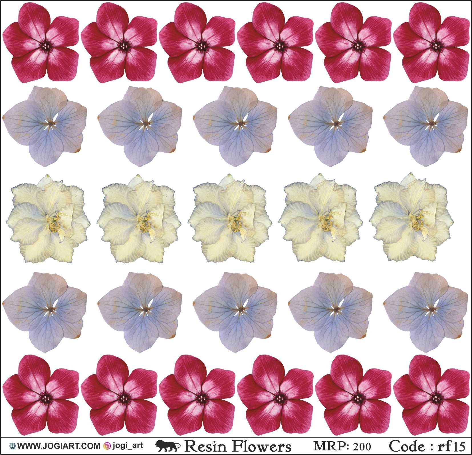 "Jogi Art Resin Flower Sticker Sheet - Waterproof, Fade-Resistant, Ideal for Resin Art, Jewelry Making, Scrapbooking & DIY Craft Projects"