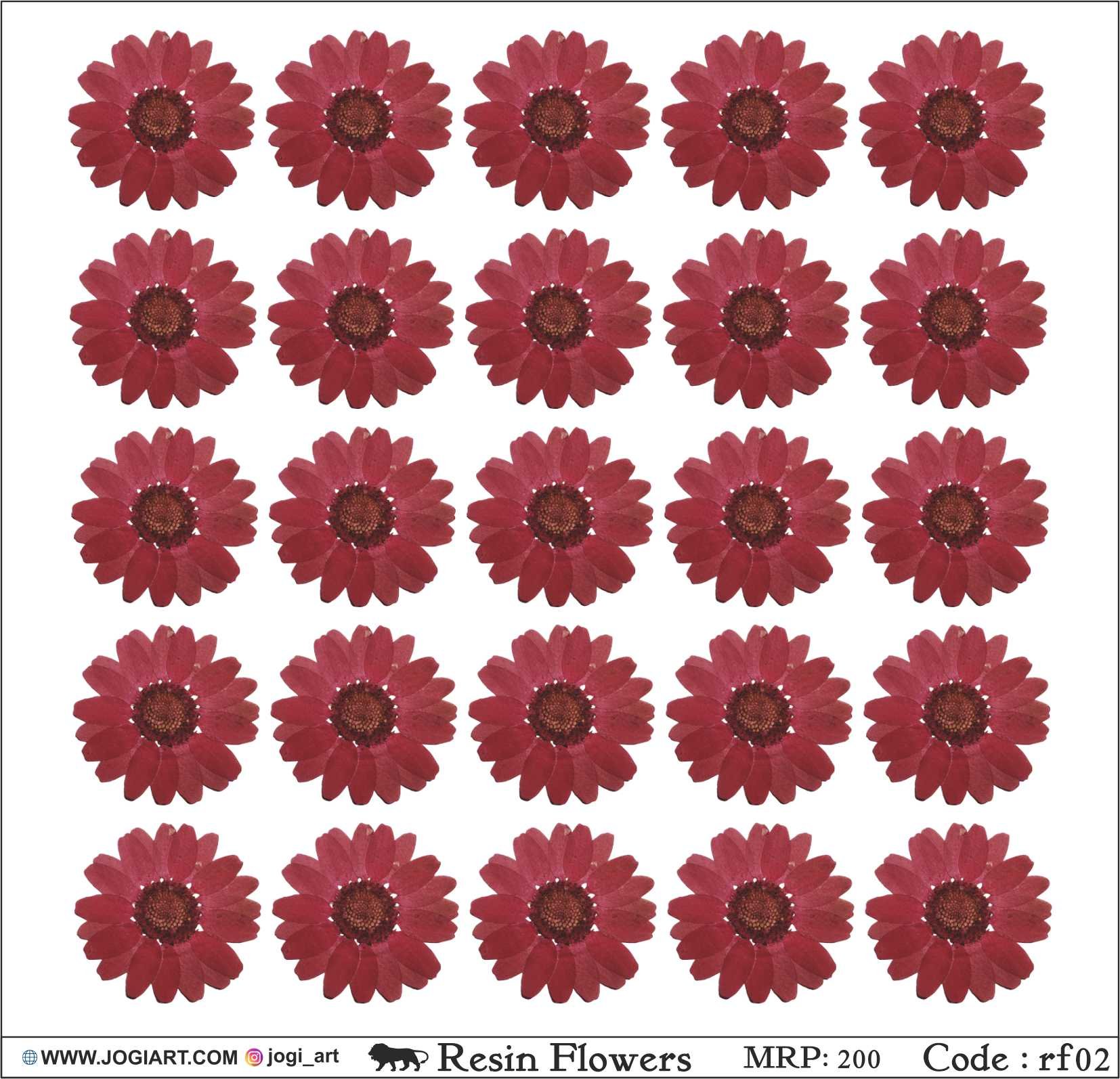 "Jogi Art Resin Flower Sticker Sheet - Waterproof, Fade-Resistant, Ideal for Resin Art, Jewelry Making, Scrapbooking & DIY Craft Projects"