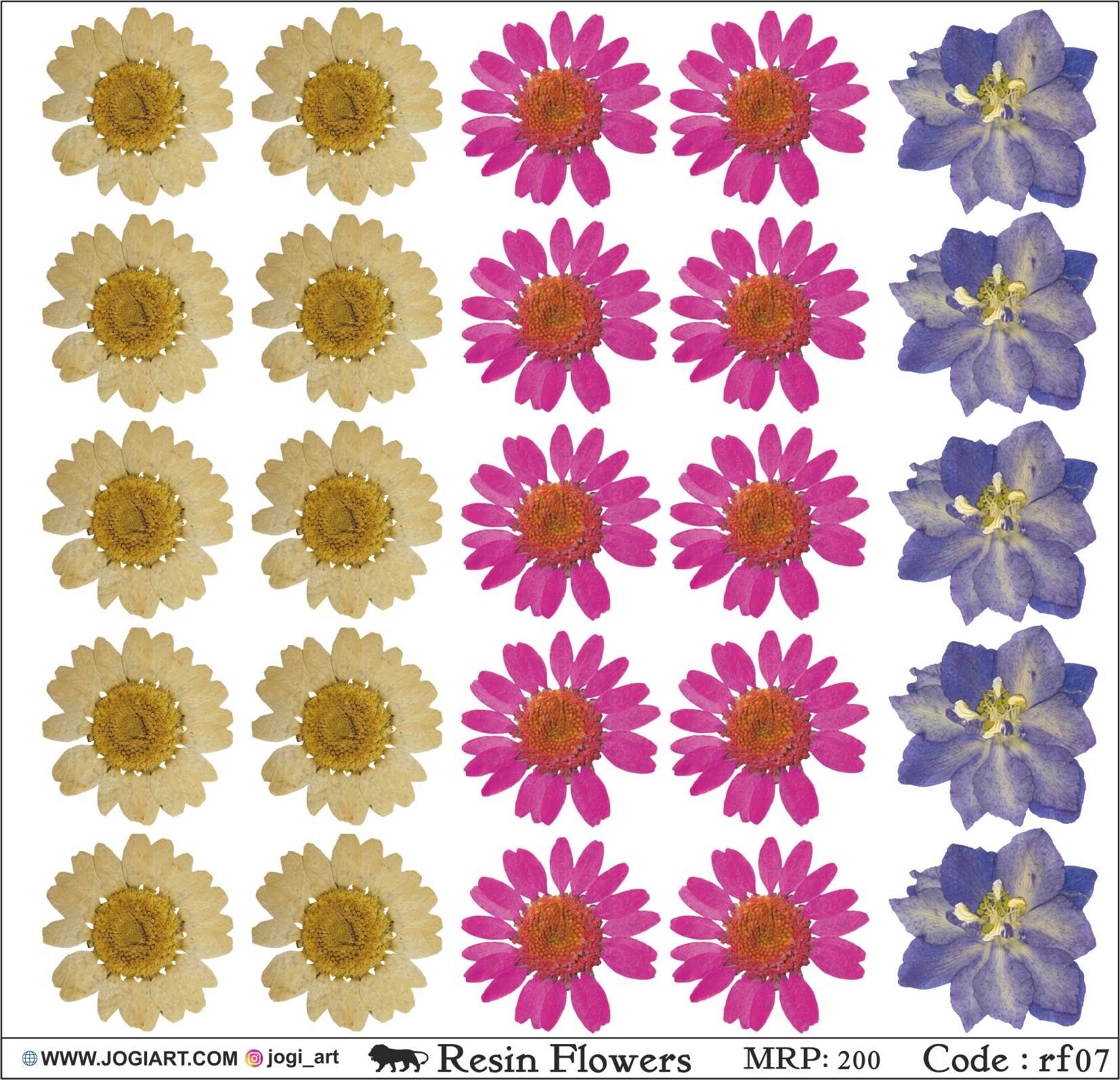 "Jogi Art Resin Flower Sticker Sheet - Waterproof, Fade-Resistant, Ideal for Resin Art, Jewelry Making, Scrapbooking & DIY Craft Projects"