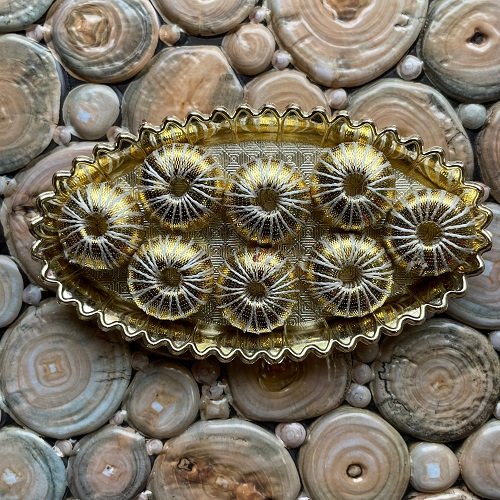 Wooden Penda ball 10pcs